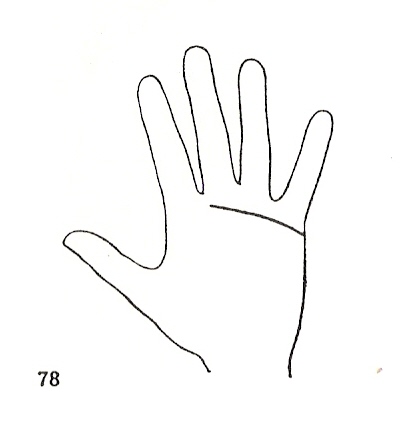 Las Lineas de la Mano