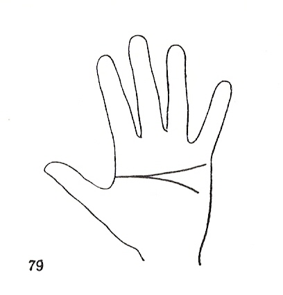 Las Lineas de la Mano