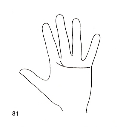 Las Lineas de la Mano