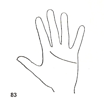 Las Lineas de la Mano