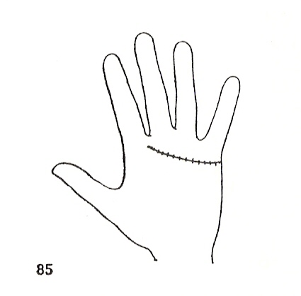 Las Lineas de la Mano