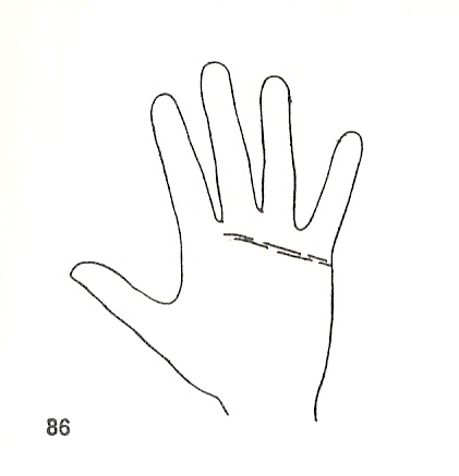 Las Lineas de la Mano