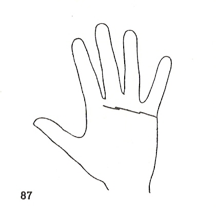 Las Lineas de la Mano