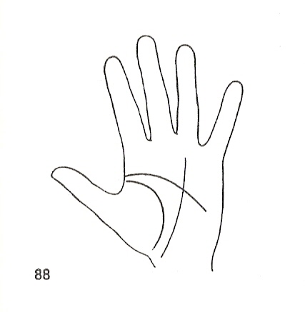 Las Lineas de la Mano