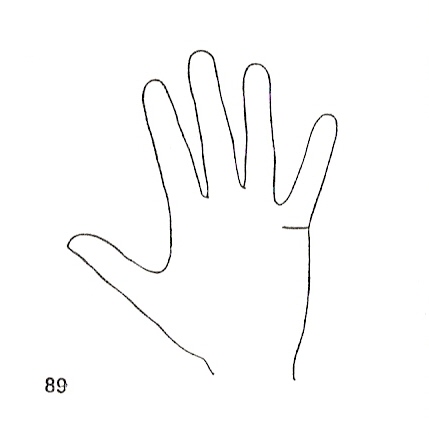 Las Lineas de la Mano