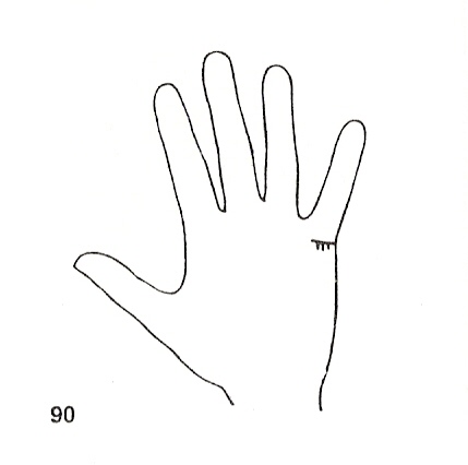 Las Lineas de la Mano