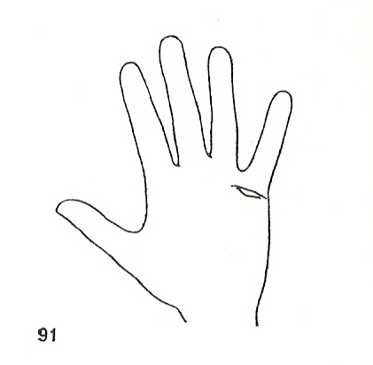 Las Lineas de la Mano