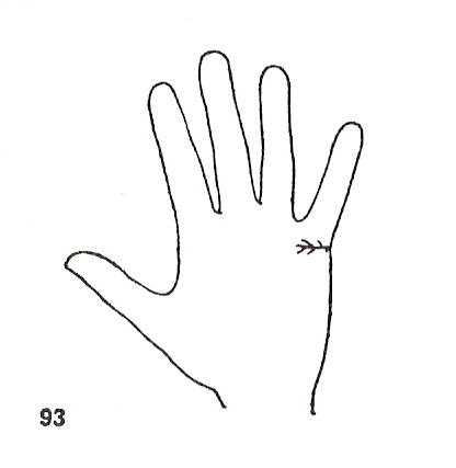Las Lineas de la Mano