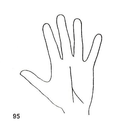 Las Lineas de la Mano
