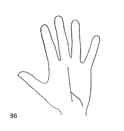 Las Lineas de la Mano