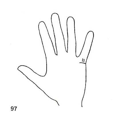 Las Lineas de la Mano