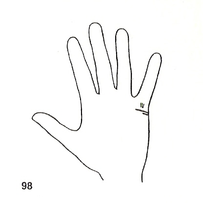 Las Lineas de la Mano