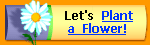 Let's Plant a Flower!