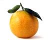 Mandarina