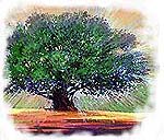 Árbol. Copyrighted.