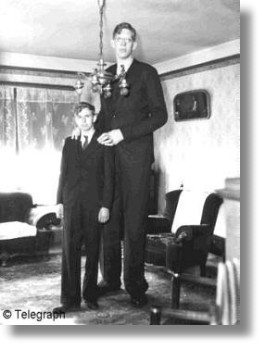 Robert Pershing Wadlow