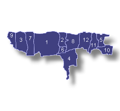 Mapa del Distrito Senatorial de Arecibo