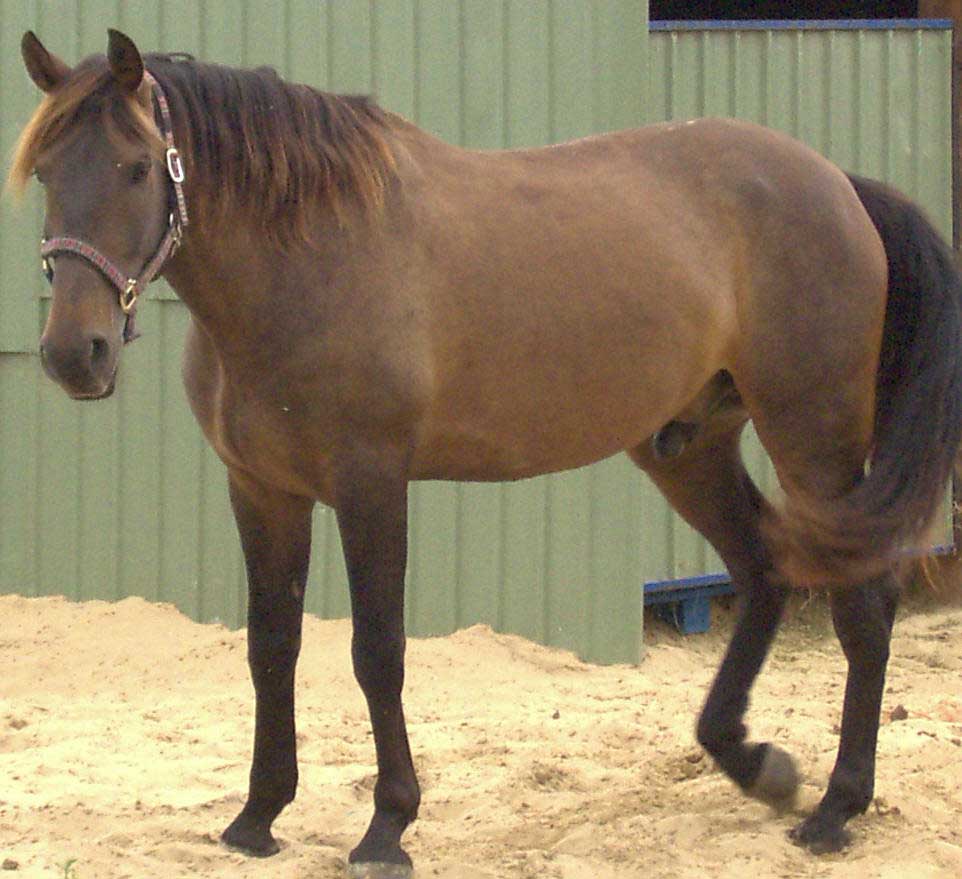 Imagen: De Mier y Leva.