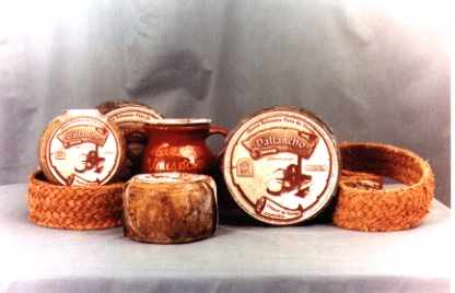 Alimentos como el queso o el yogur están producidos por microorganismos