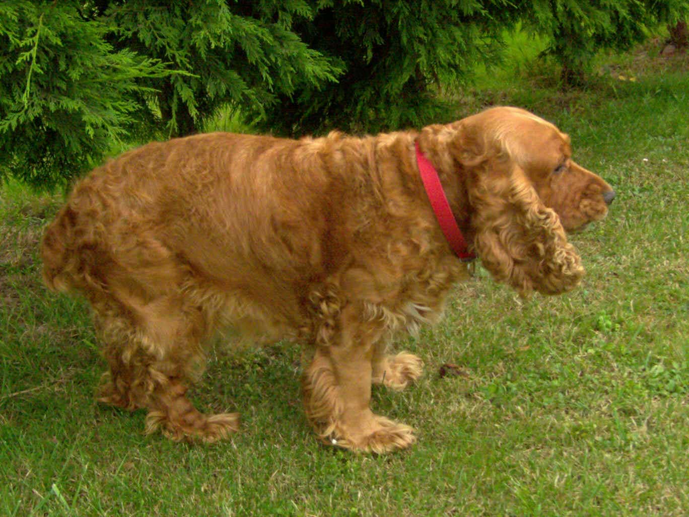 Imagen: De Mier y Leva.