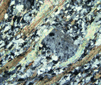 Bandeado la microscopio petrogrfico