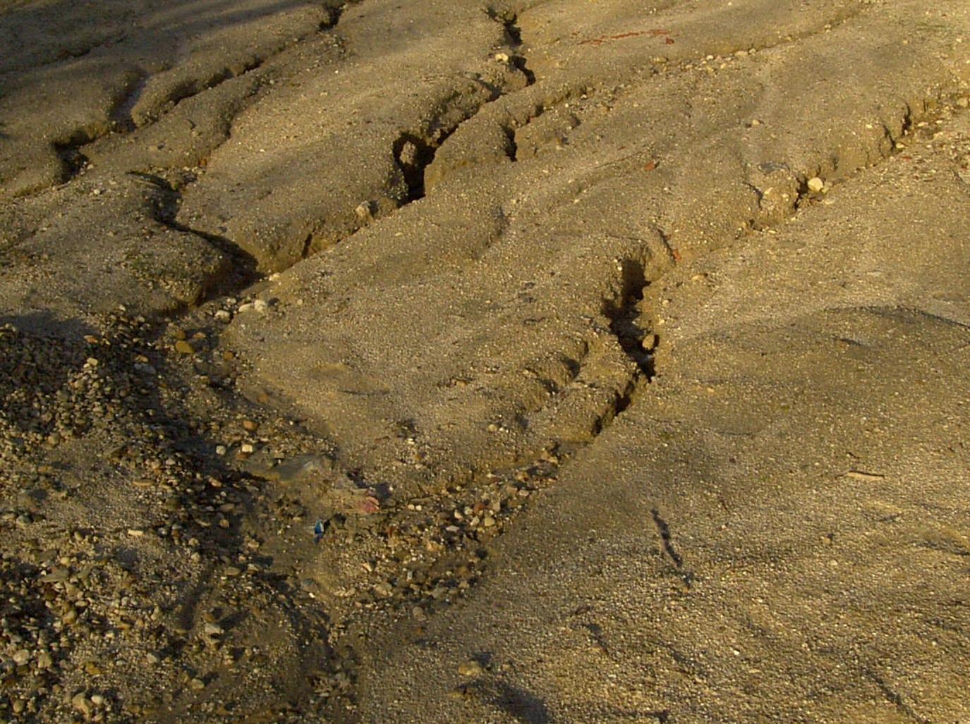Suelo desprovisto de vegetacin y erosionado por aguas salvajes. Imagen: De Mier y Leva.