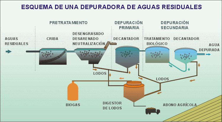 Esquema de funcionamiento de una planta depuradora de aguas residuales. Animacin: De Mier y Leva