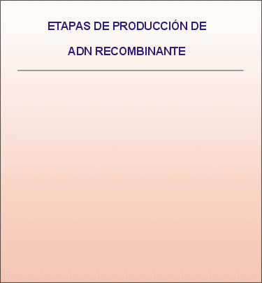 Resumen de las etapas para recombinar el ADN. Animacin: De Mier y Leva
