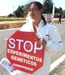 La manipulacin gentica es una de las ramas de la ciencia que mayor polmica desatan. Tomada de www.greenpeace.es