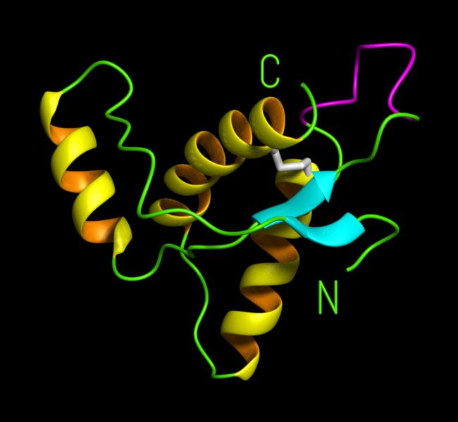Reconstrucción digitalizada de un prion responsable del mal de las vacas locas. Tomada de www.mol.biol.ethz.ch