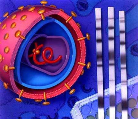 Infeccin por virus del SIDA