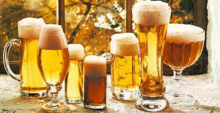 El pan y la cerveza son los productos más antiguos obtenidos por el hombre mediante la biotecnología.