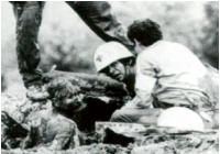 Investigacin