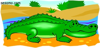 crocodile