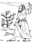 bible coloring book page