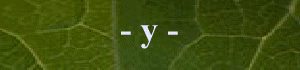 - y -